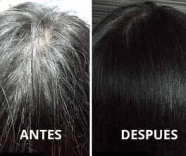 Shampoo tinte viral café y negro