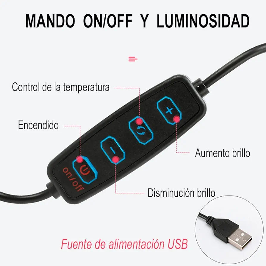 Aro de luz 12 pulgadas
