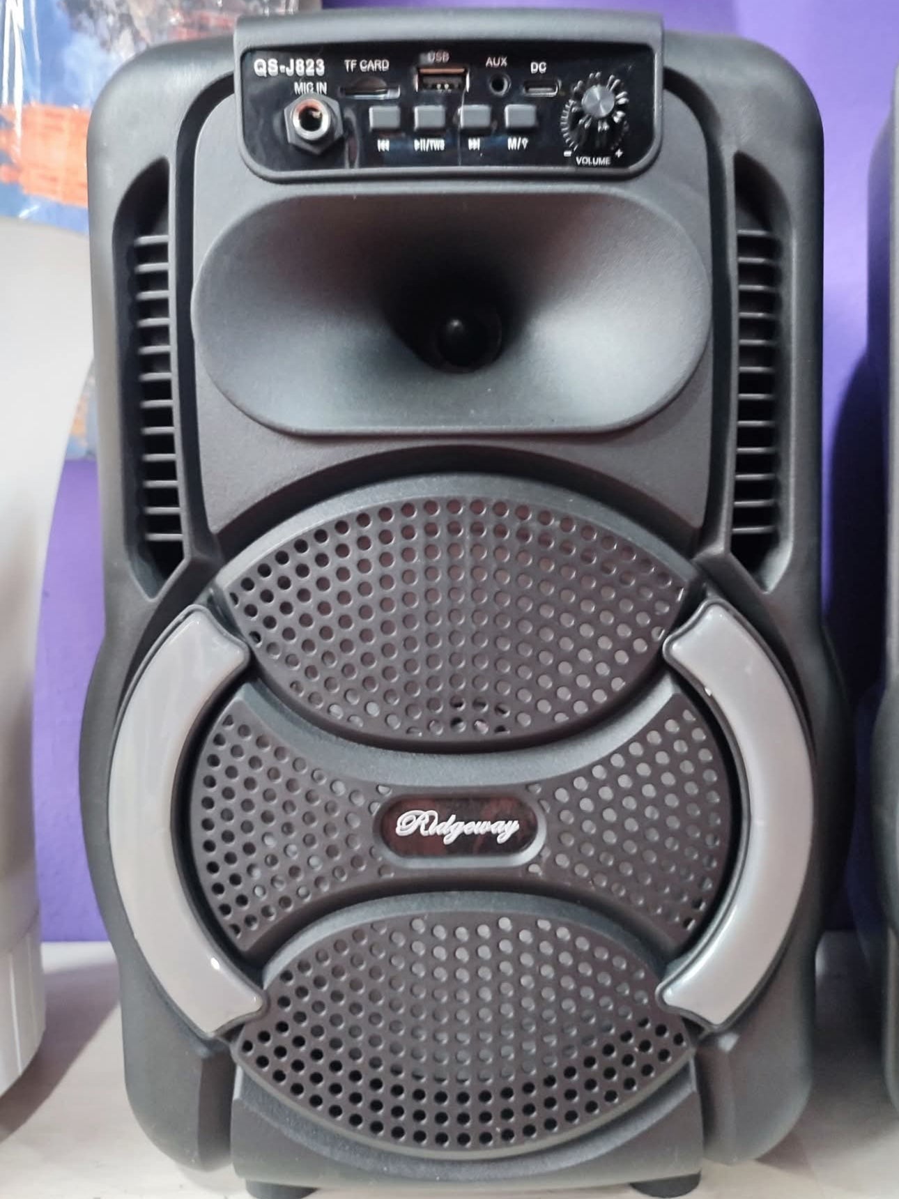Bafle amplificado 8 pulgadas