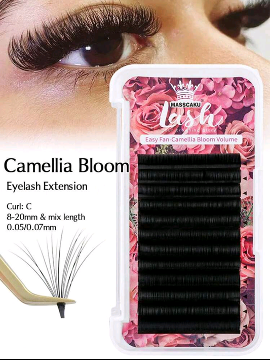 Blíster Camellia bloom mixto