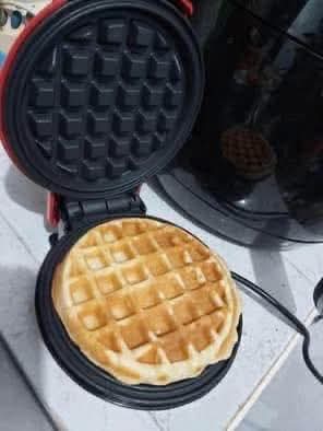 Miniwafflera